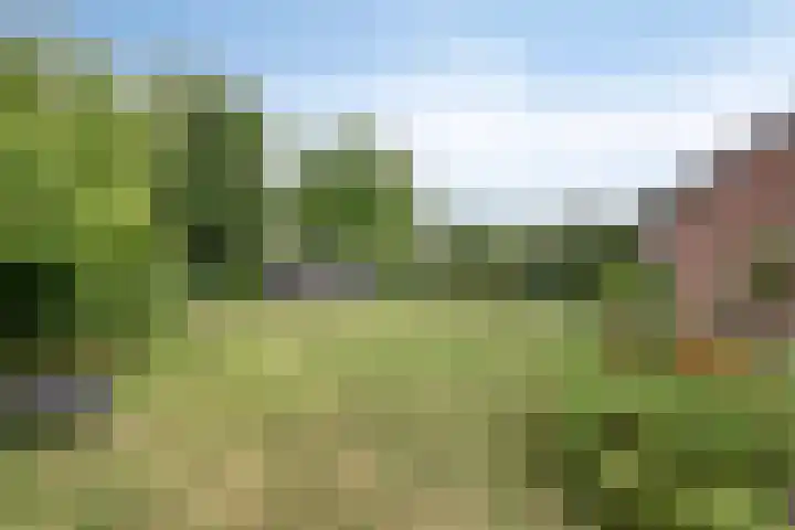 Loveren 6 Westerhoven thumbnail 44