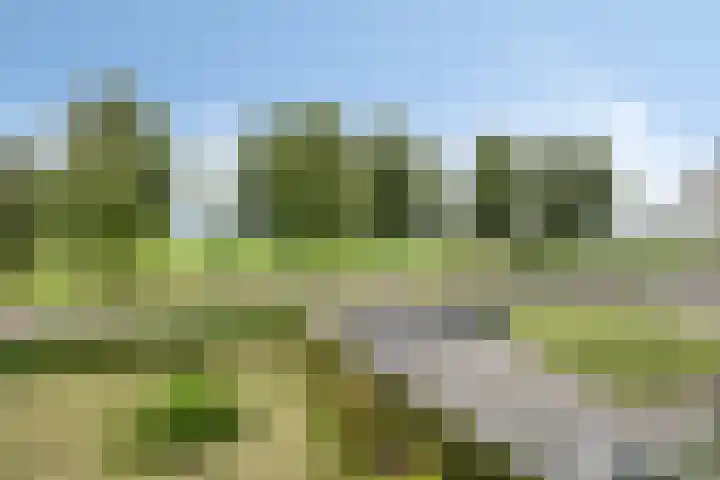 Loveren 6 Westerhoven thumbnail 47