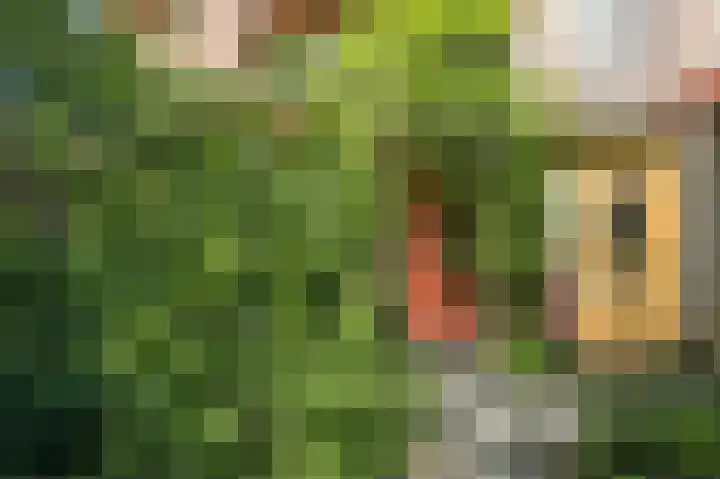Loverendale 32 Zutphen thumbnail 14