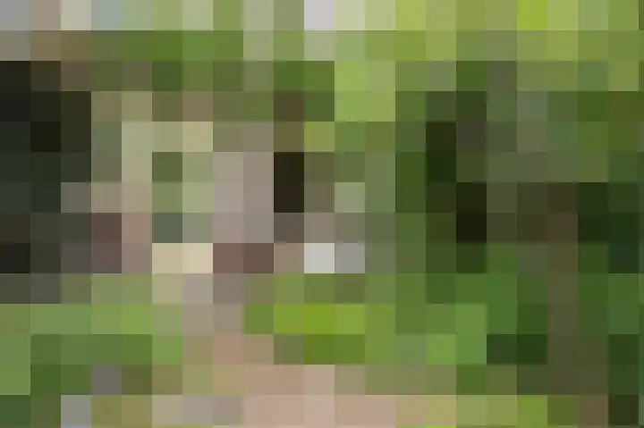 Loverendale 32 Zutphen thumbnail 32