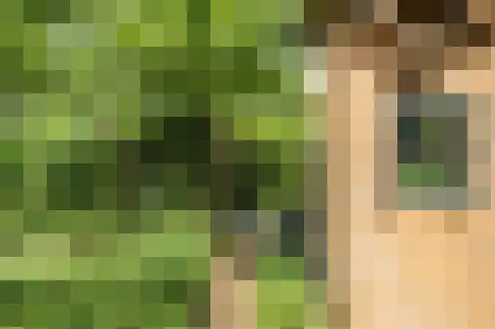 Loverendale 32 Zutphen thumbnail 34