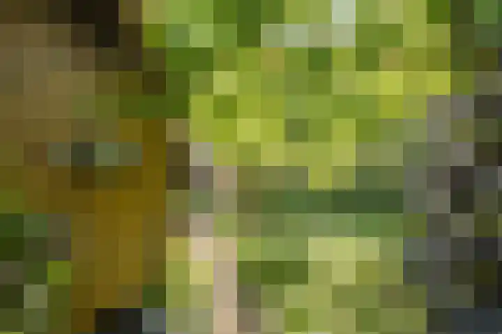 Loverendale 32 Zutphen thumbnail 35