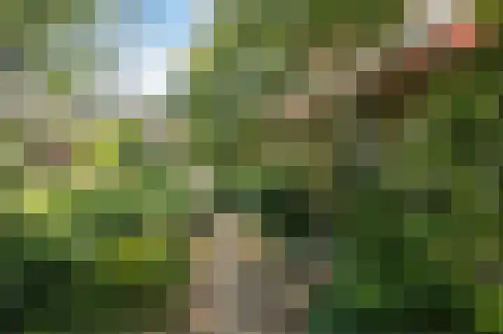Loverendale 32 Zutphen thumbnail 36