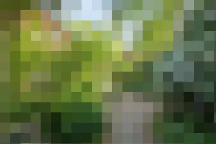 Loverendale 32 Zutphen thumbnail 37