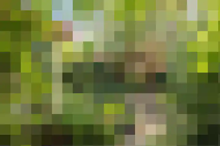 Loverendale 32 Zutphen thumbnail 38