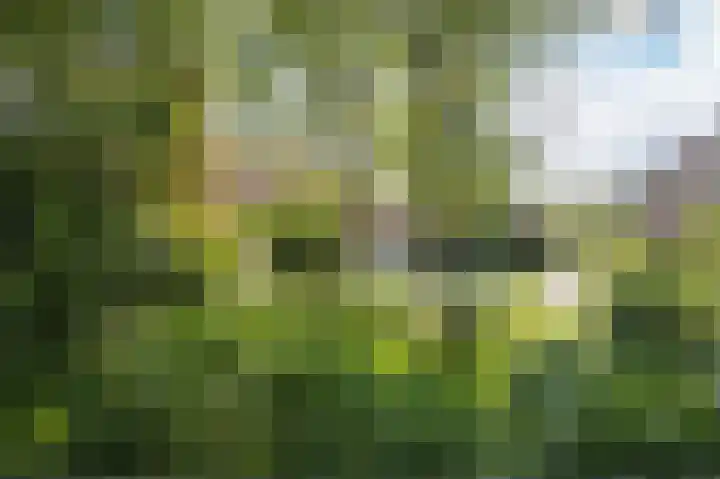 Loverendale 32 Zutphen thumbnail 39