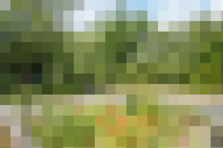Loverendale 32 Zutphen thumbnail 40