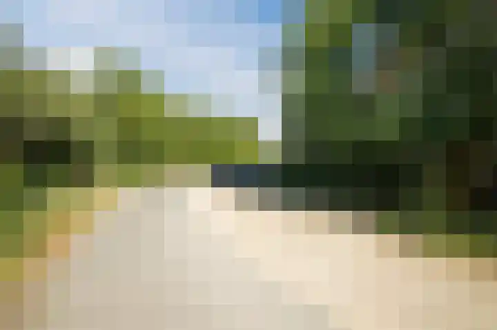 Loverendale 32 Zutphen thumbnail 41