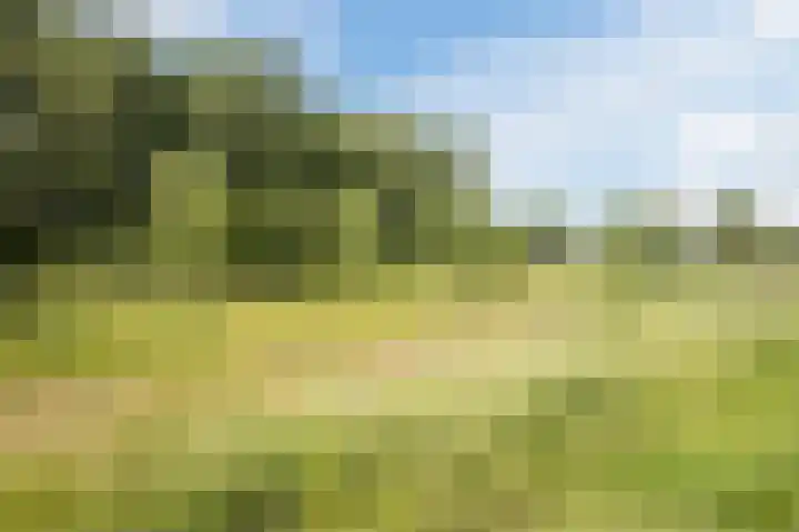 Loverendale 32 Zutphen thumbnail 42