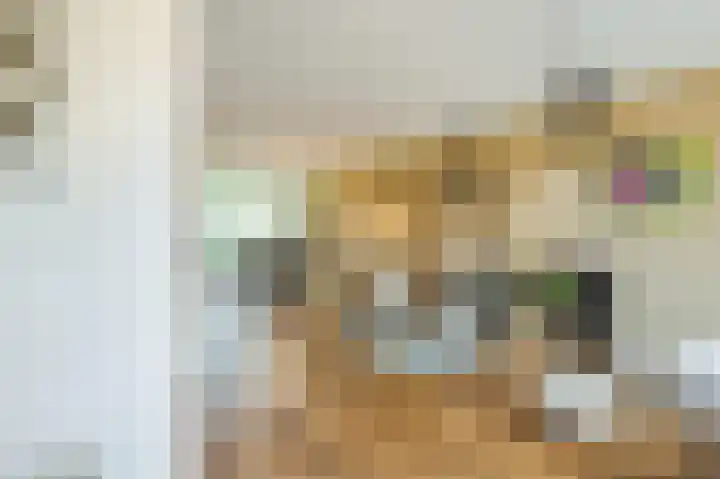 Loverendale 32 Zutphen thumbnail 8