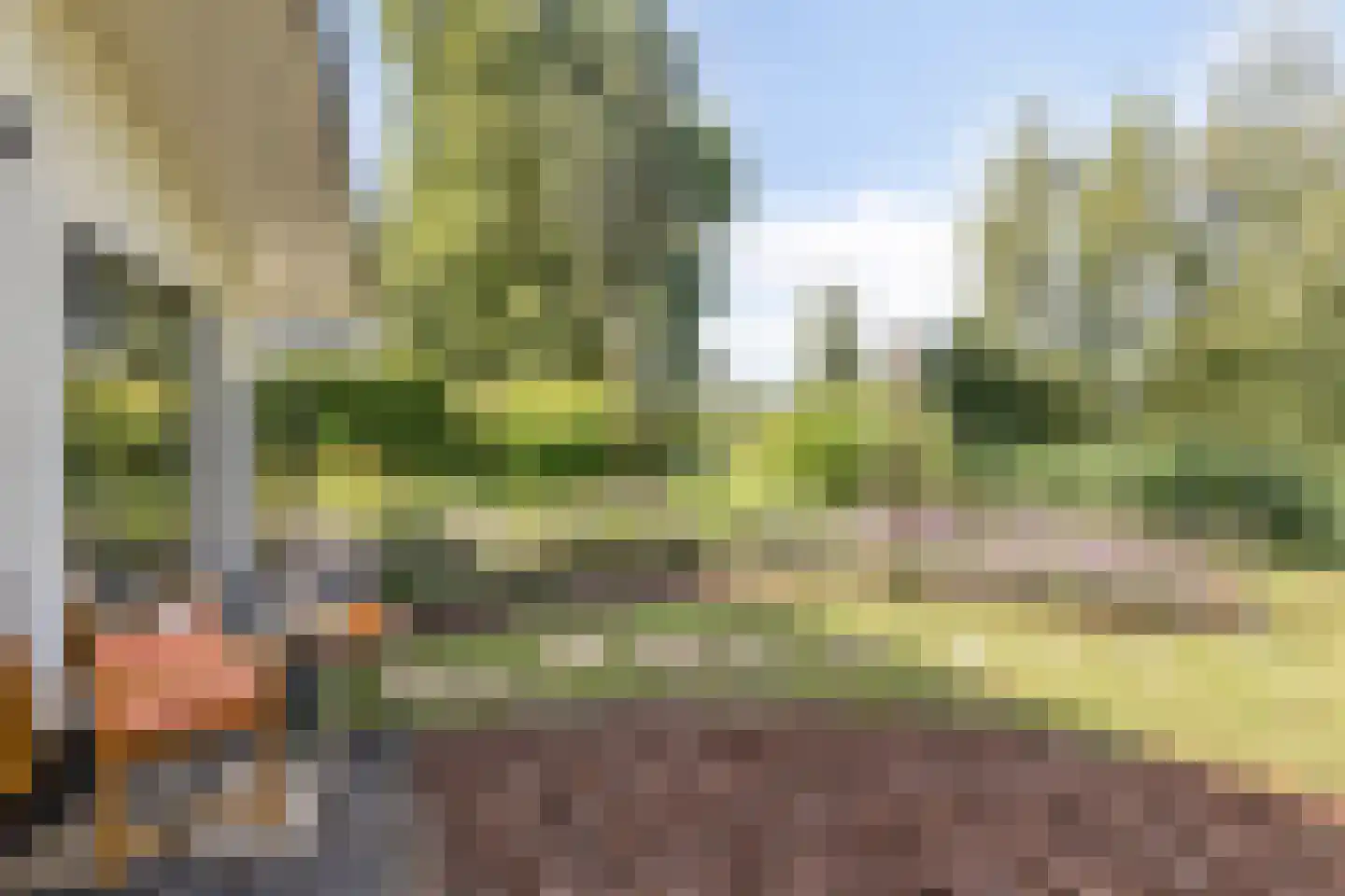 Loverensestraat 11 283 Cromvoirt thumbnail 5