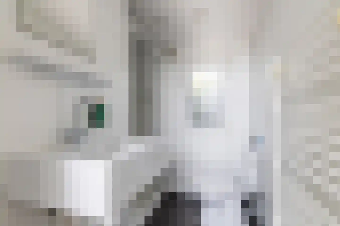 Loverensestraat 11 A22 Cromvoirt thumbnail 14