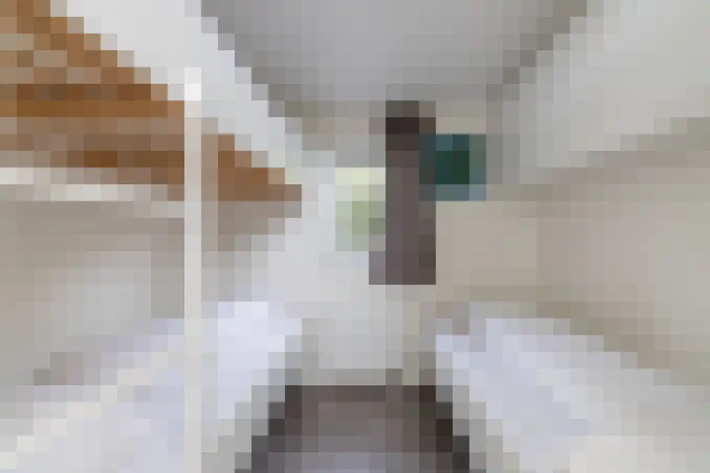 Loverensestraat 11 A22 Cromvoirt thumbnail 15