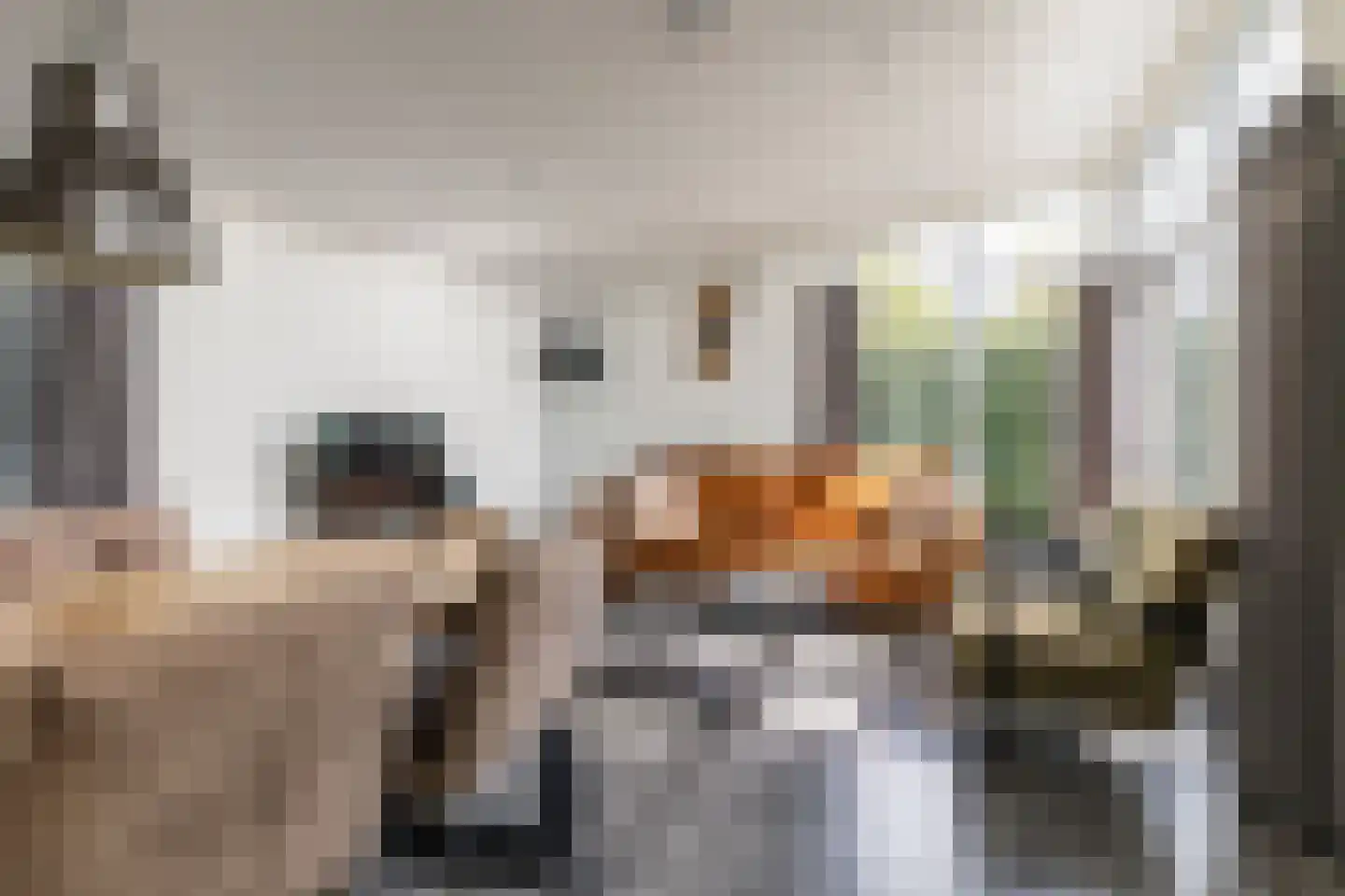 Loverensestraat 11 A22 Cromvoirt thumbnail 4