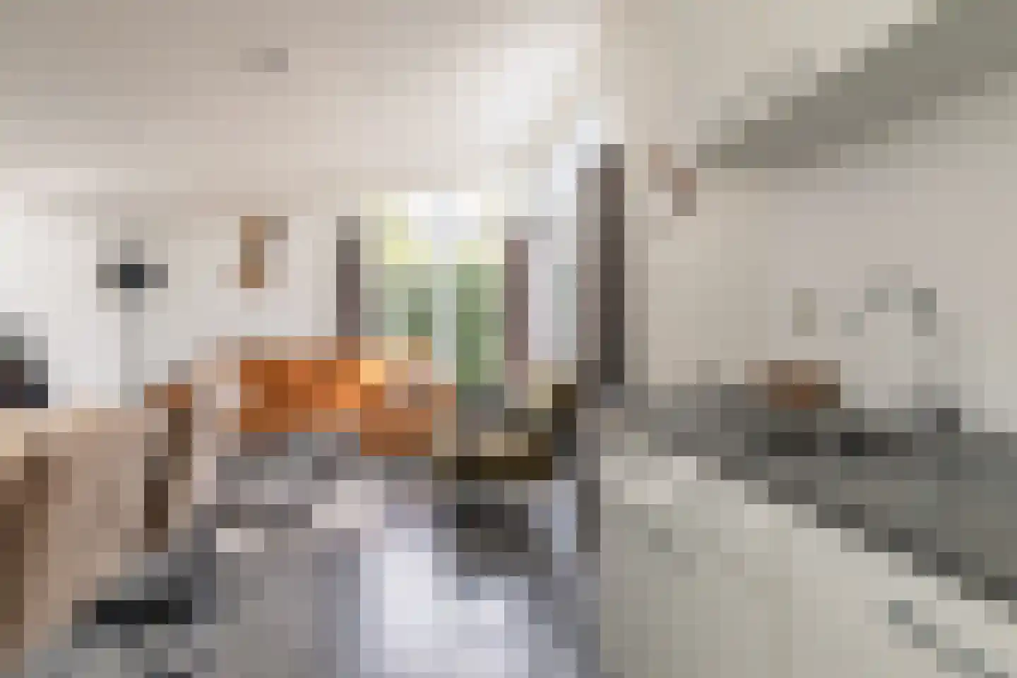 Loverensestraat 11 A22 Cromvoirt thumbnail 6