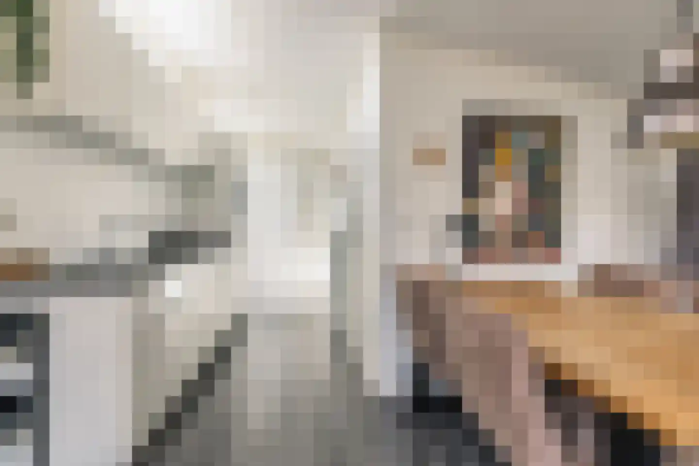 Loverensestraat 11 A22 Cromvoirt thumbnail 7