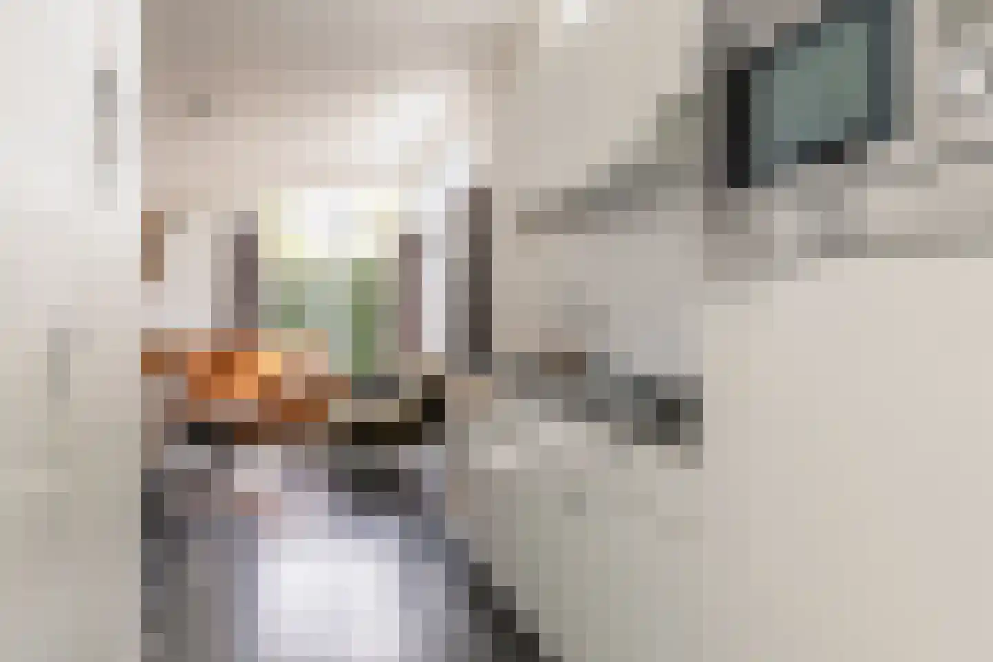 Loverensestraat 11 A22 Cromvoirt thumbnail 9