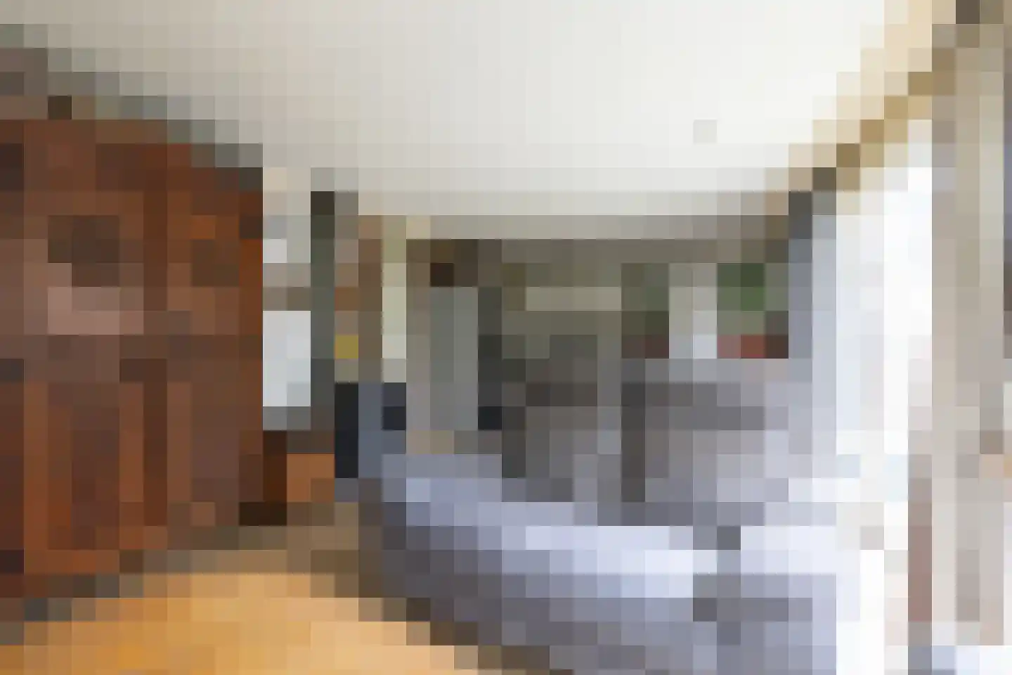 Loverensestraat 11 B10 Cromvoirt thumbnail 10