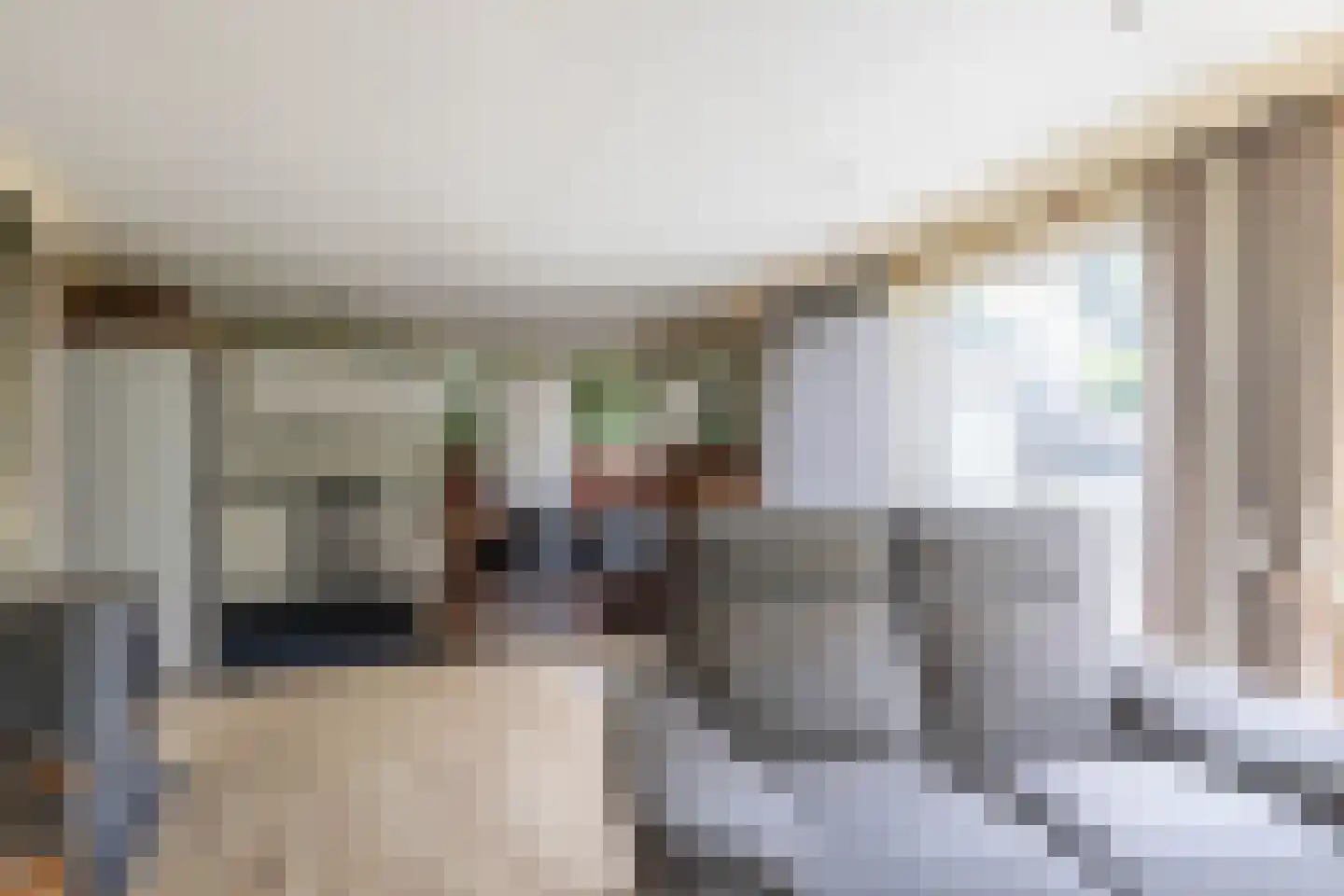 Loverensestraat 11 B10 Cromvoirt thumbnail 11