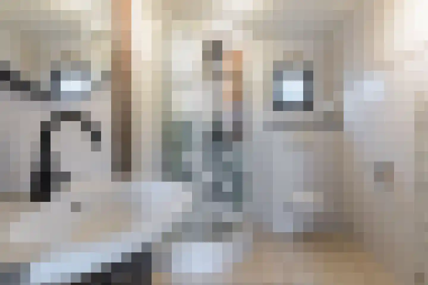Loverensestraat 11 B10 Cromvoirt thumbnail 17
