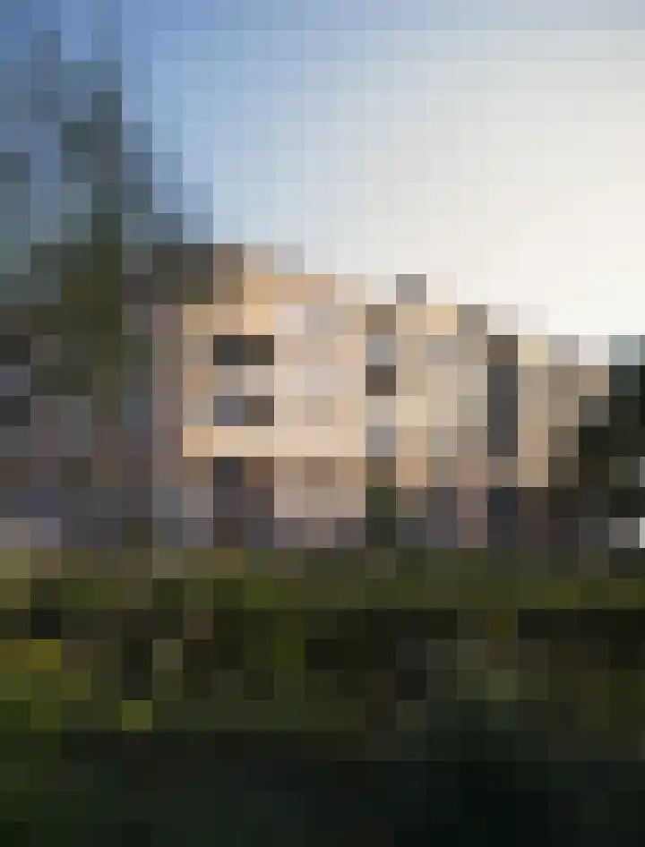 Loverensestraat 11 Cromvoirt thumbnail 5
