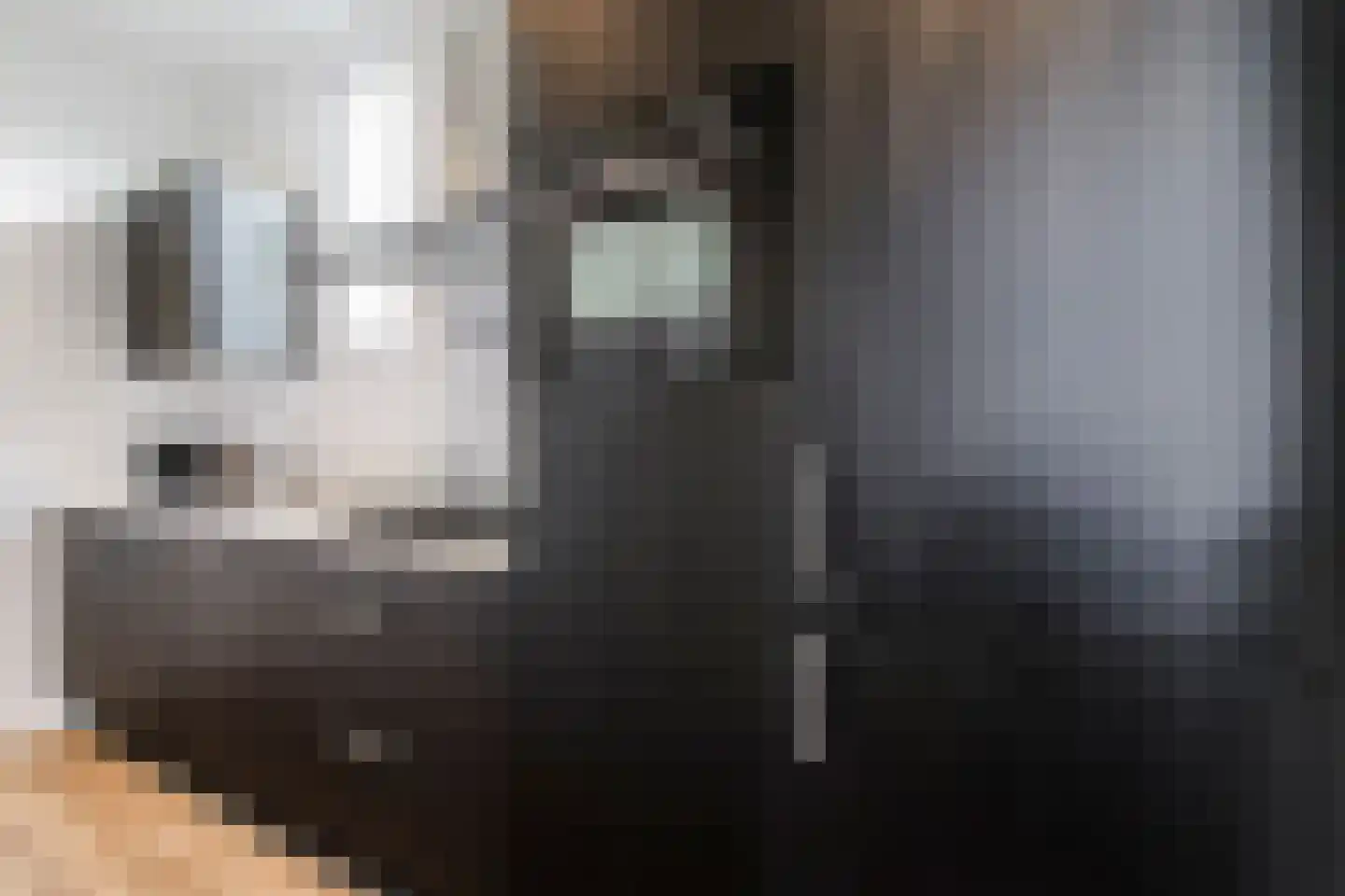 Loverensestraat 11 D17 Cromvoirt thumbnail 11