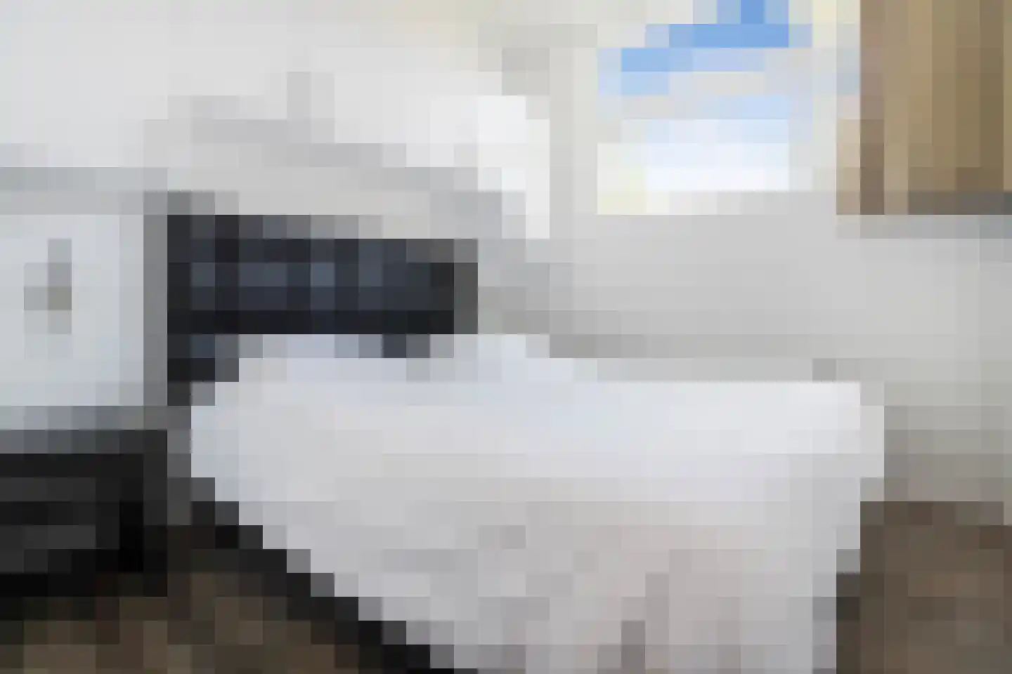 Loverensestraat 11 D17 Cromvoirt thumbnail 13