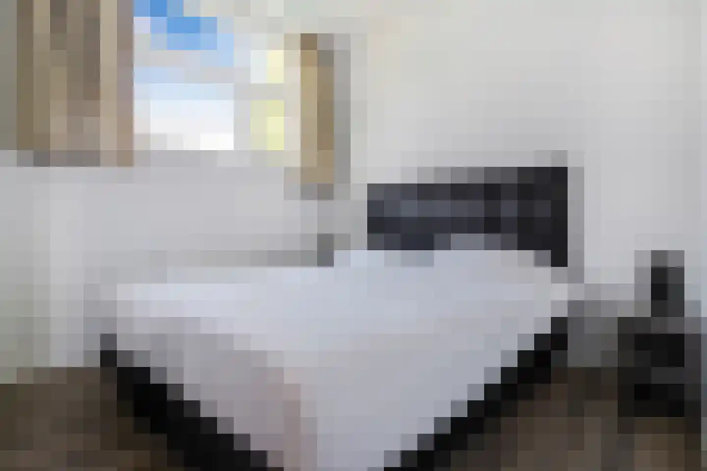 Loverensestraat 11 D17 Cromvoirt thumbnail 14