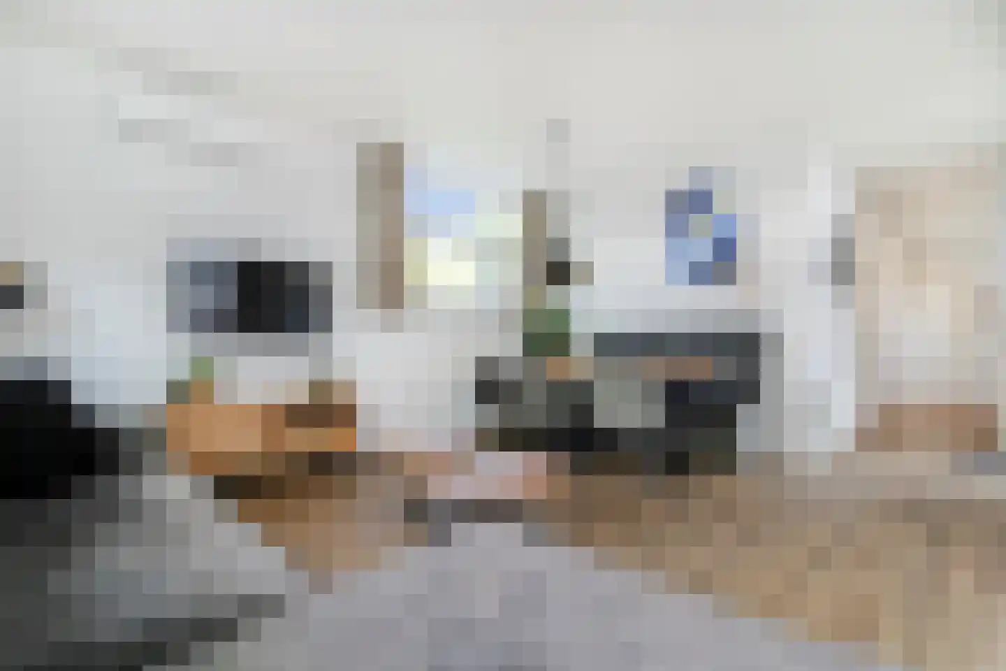 Loverensestraat 11 D17 Cromvoirt thumbnail 8