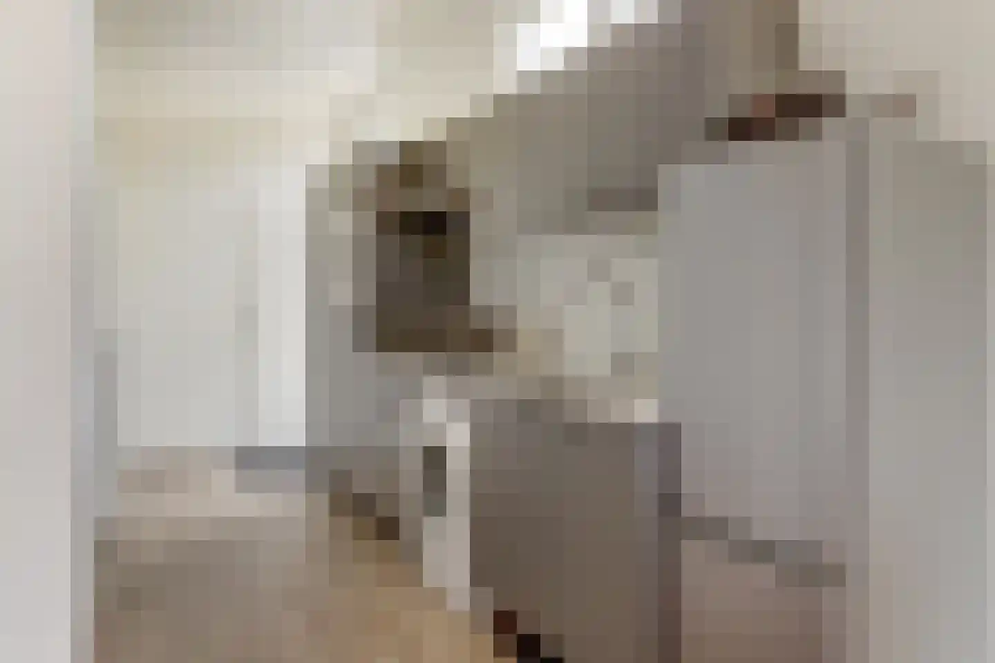 Loverensestraat 11 R 270 Cromvoirt thumbnail 12