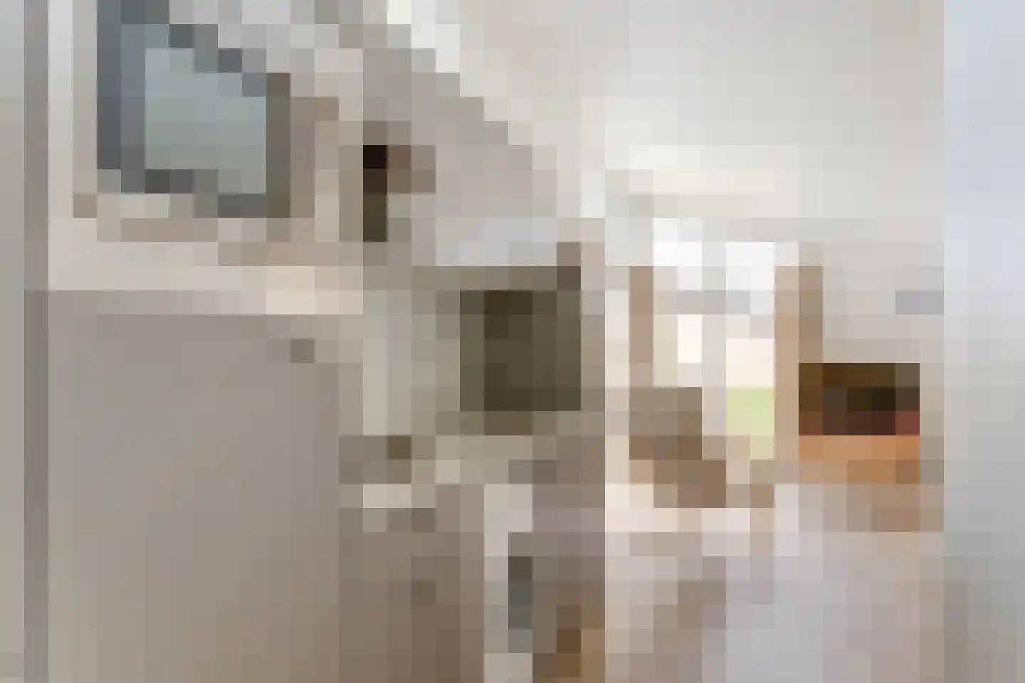 Loverensestraat 11 R 270 Cromvoirt thumbnail 14