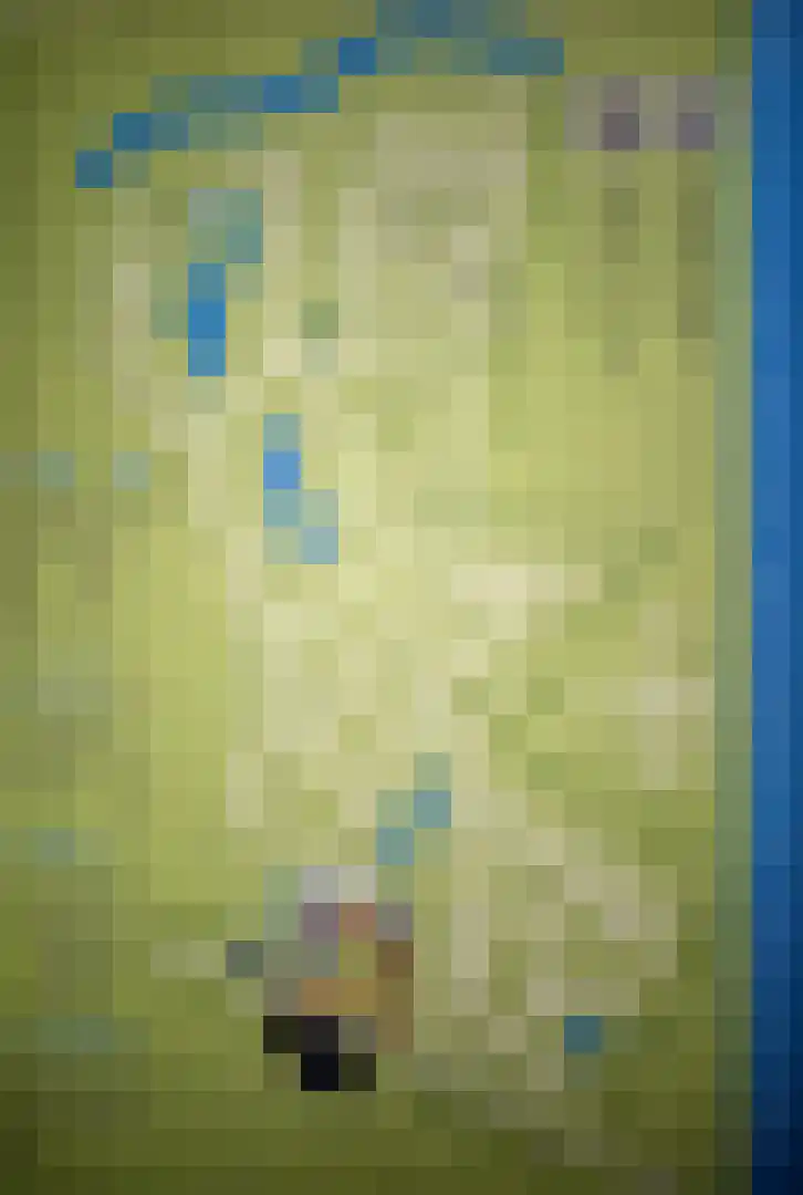 Loverensestraat 11 R 270 Cromvoirt thumbnail 28
