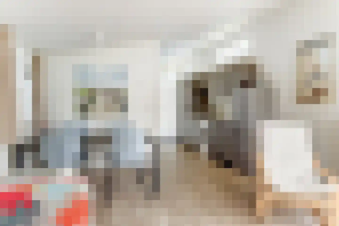 Loverensestraat 11 R 270 Cromvoirt thumbnail 8