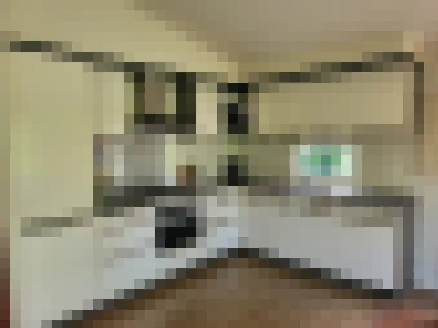 Loverensestraat 11 R 283 Cromvoirt thumbnail 11