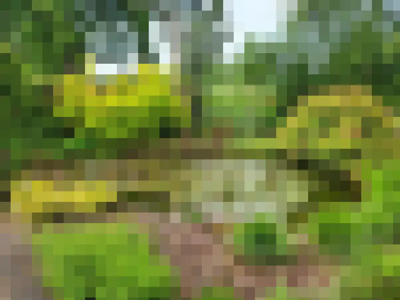 Loverensestraat 11 R 283 Cromvoirt thumbnail 41