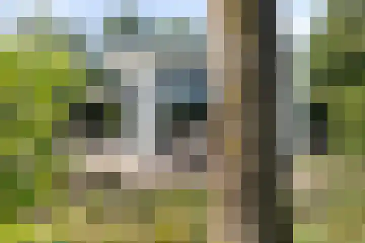 Loverensestraat 11 R D27 Cromvoirt thumbnail 24