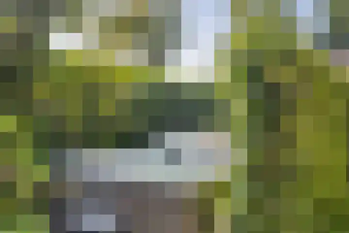 Loverensestraat 11 R D27 Cromvoirt thumbnail 26