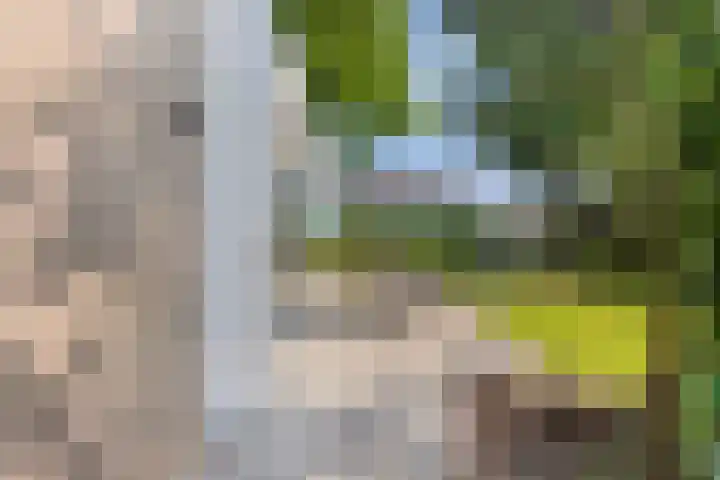 Loverensestraat 11 R D27 Cromvoirt thumbnail 4