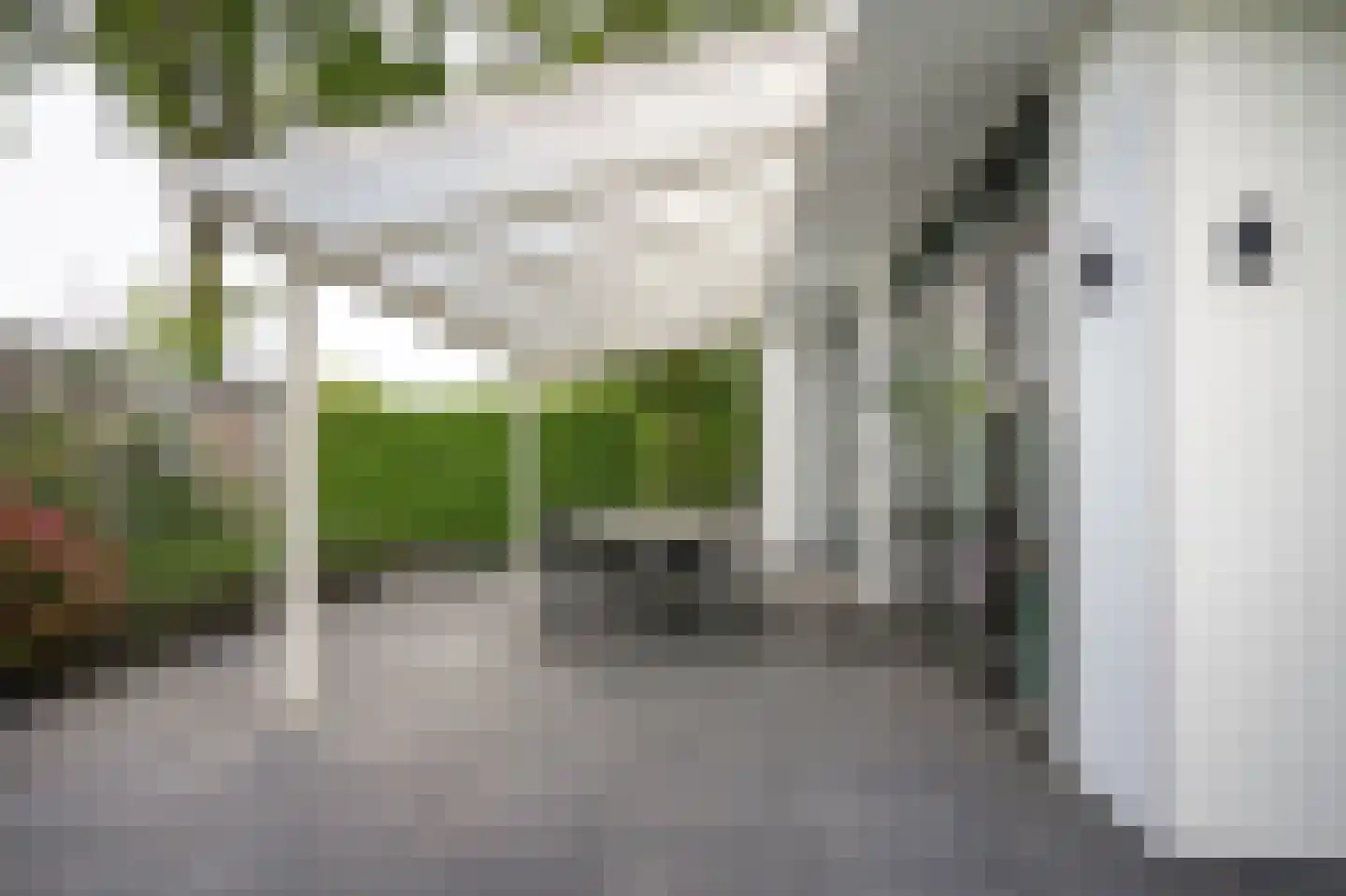 Loverensestraat 11 R D6 Cromvoirt thumbnail 26