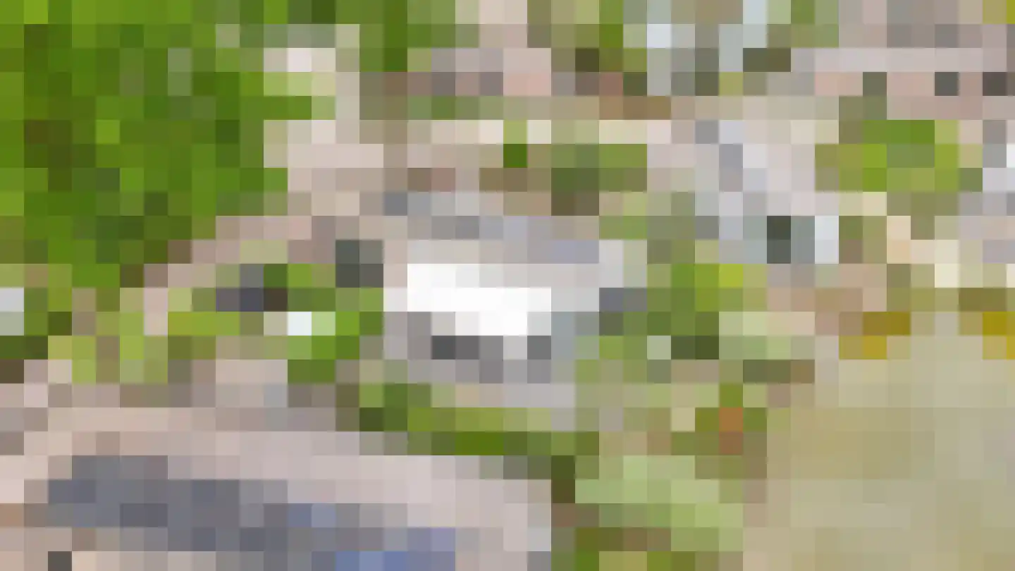 Loverensestraat 11 R D6 Cromvoirt thumbnail 35
