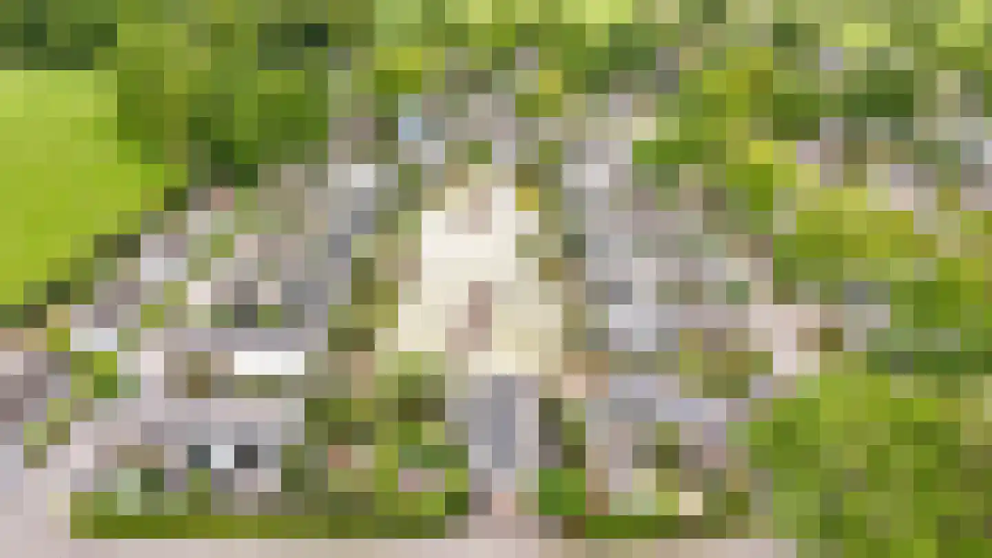 Loverensestraat 11 R D6 Cromvoirt thumbnail 47