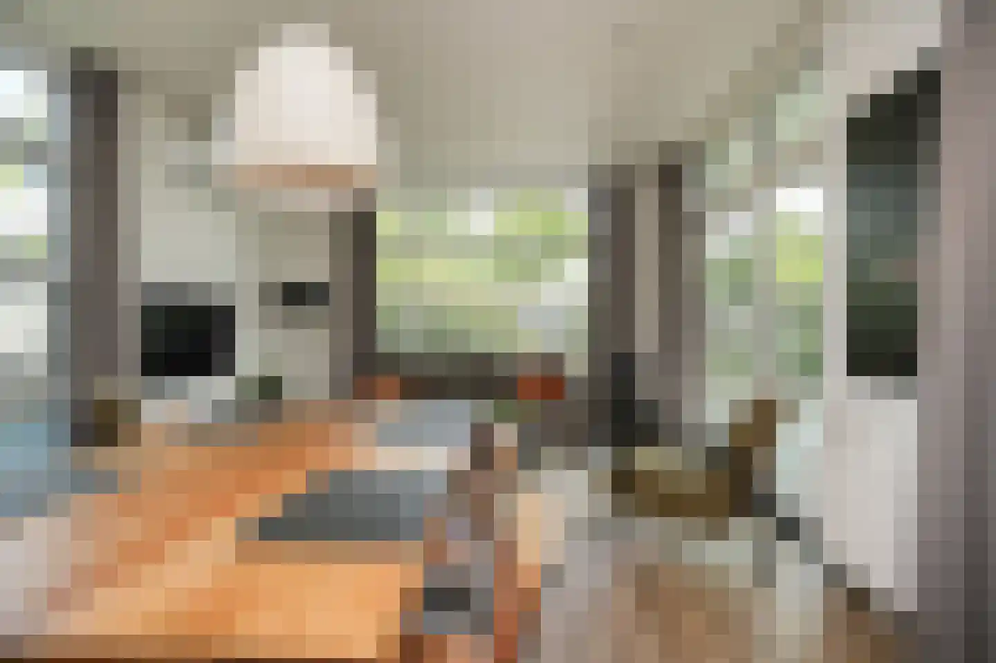 Loverensestraat 11 R D6 Cromvoirt thumbnail 8