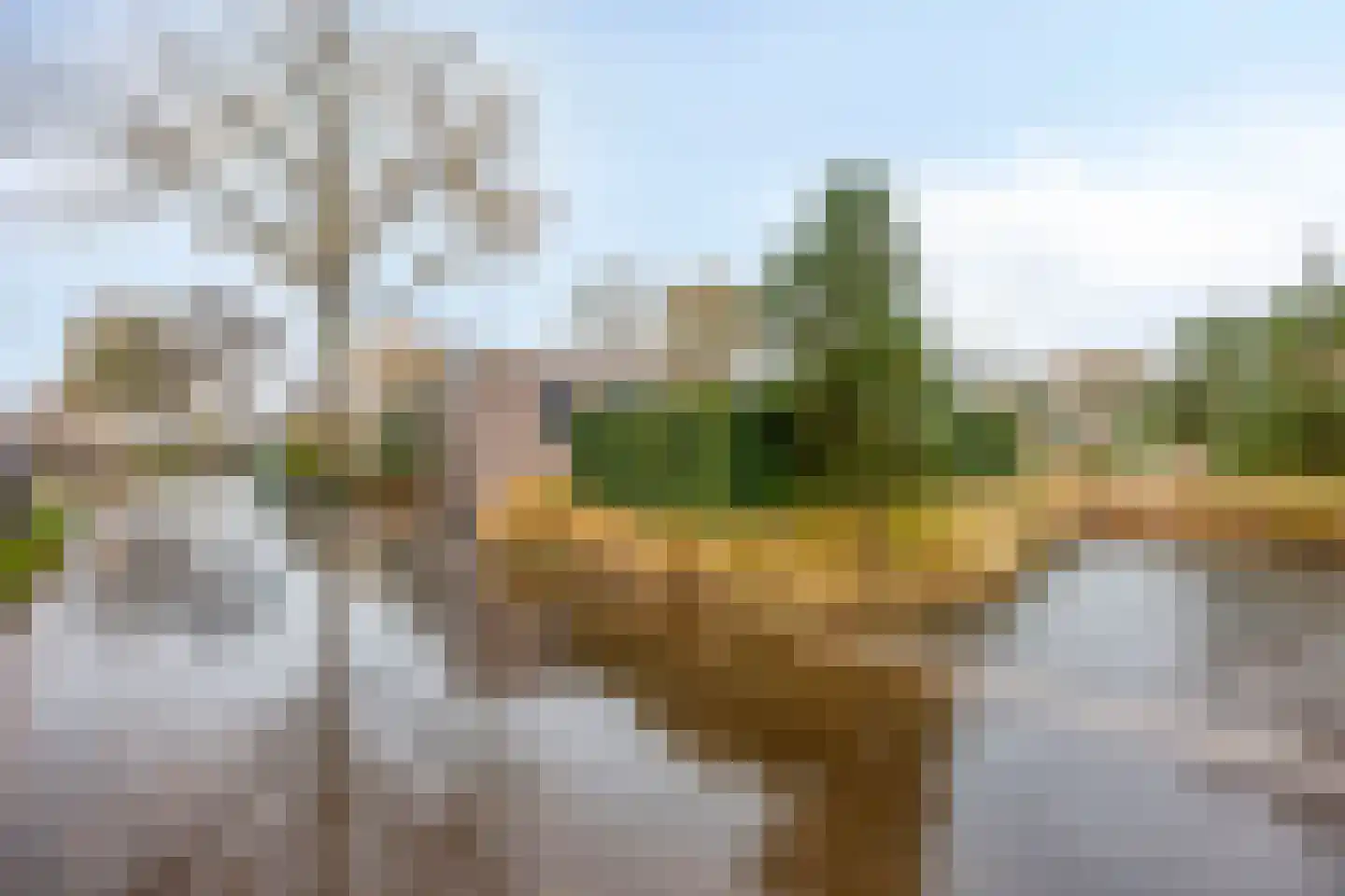 Loverensestraat 11 R D8 Cromvoirt thumbnail 26