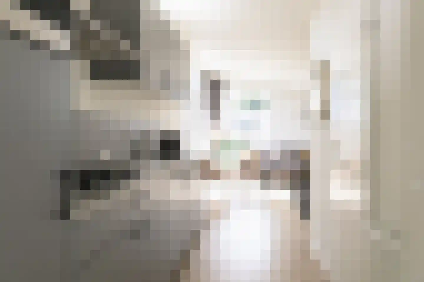Loverensestraat 11 R D9 Cromvoirt thumbnail 10