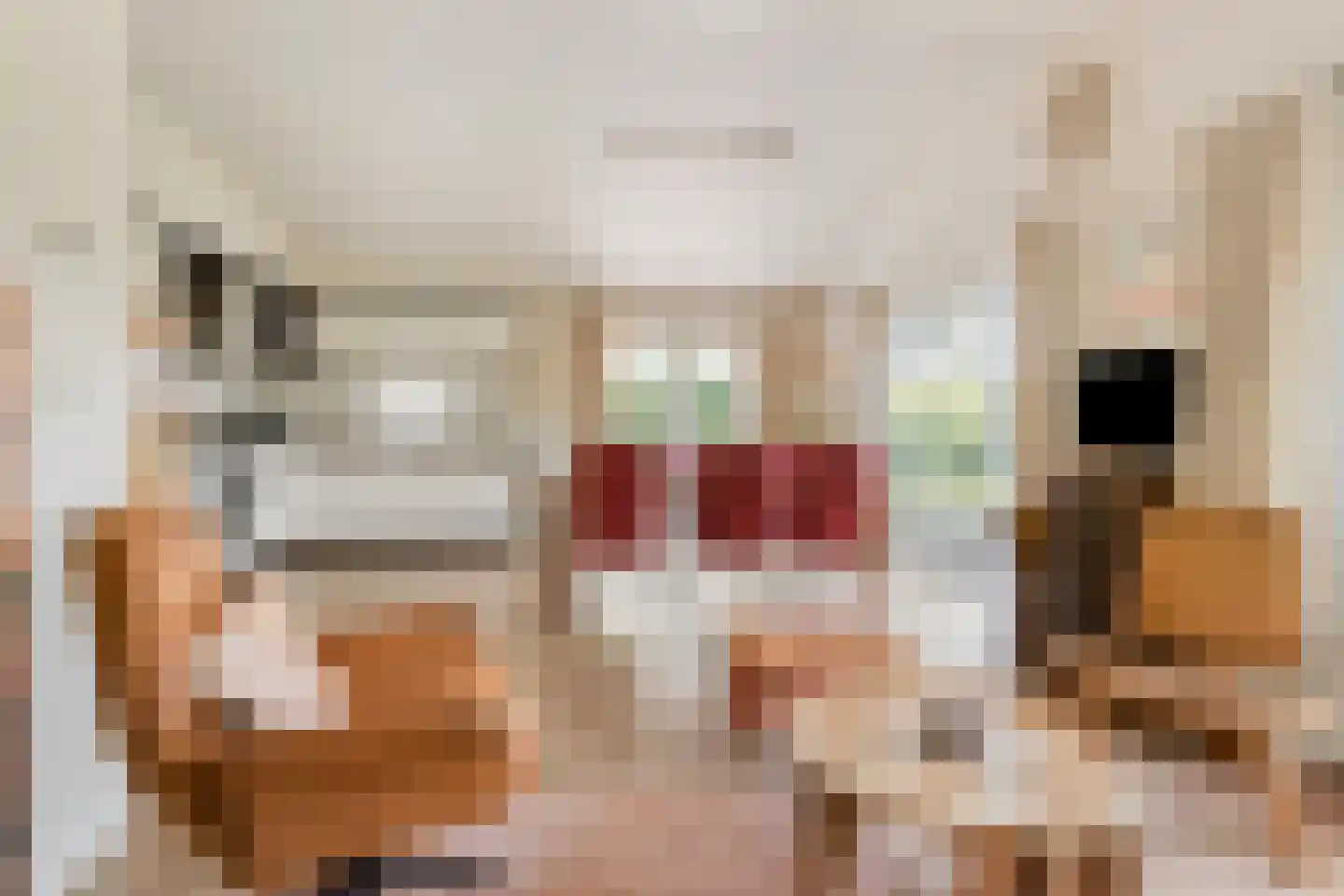 Loverensestraat 11 R D9 Cromvoirt thumbnail 10