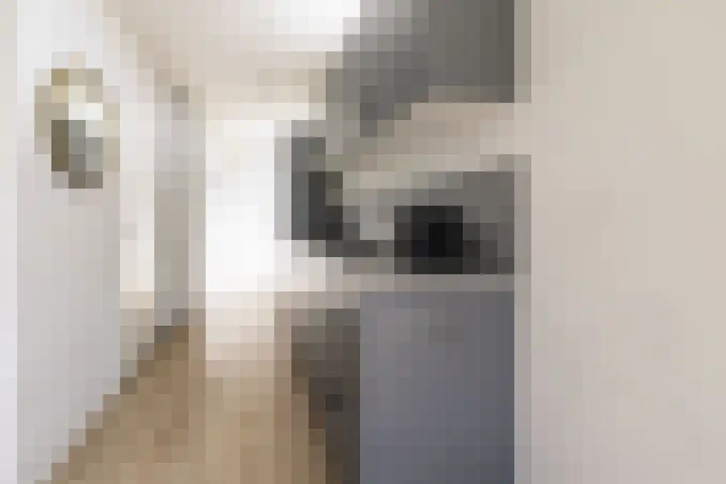 Loverensestraat 11 R D9 Cromvoirt thumbnail 12