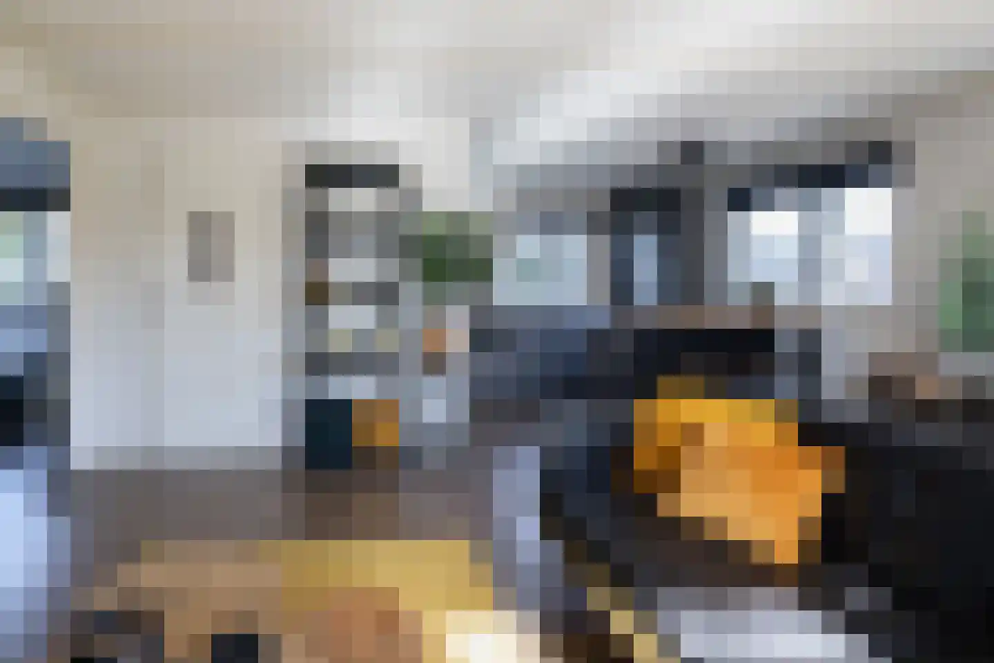Loverensestraat 11 R D9 Cromvoirt thumbnail 12