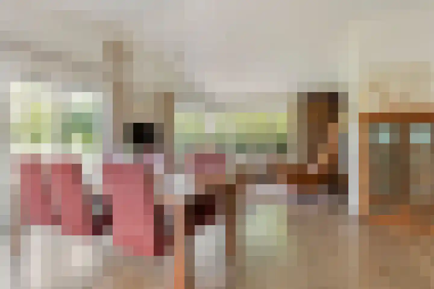 Loverensestraat 11 R D9 Cromvoirt thumbnail 13