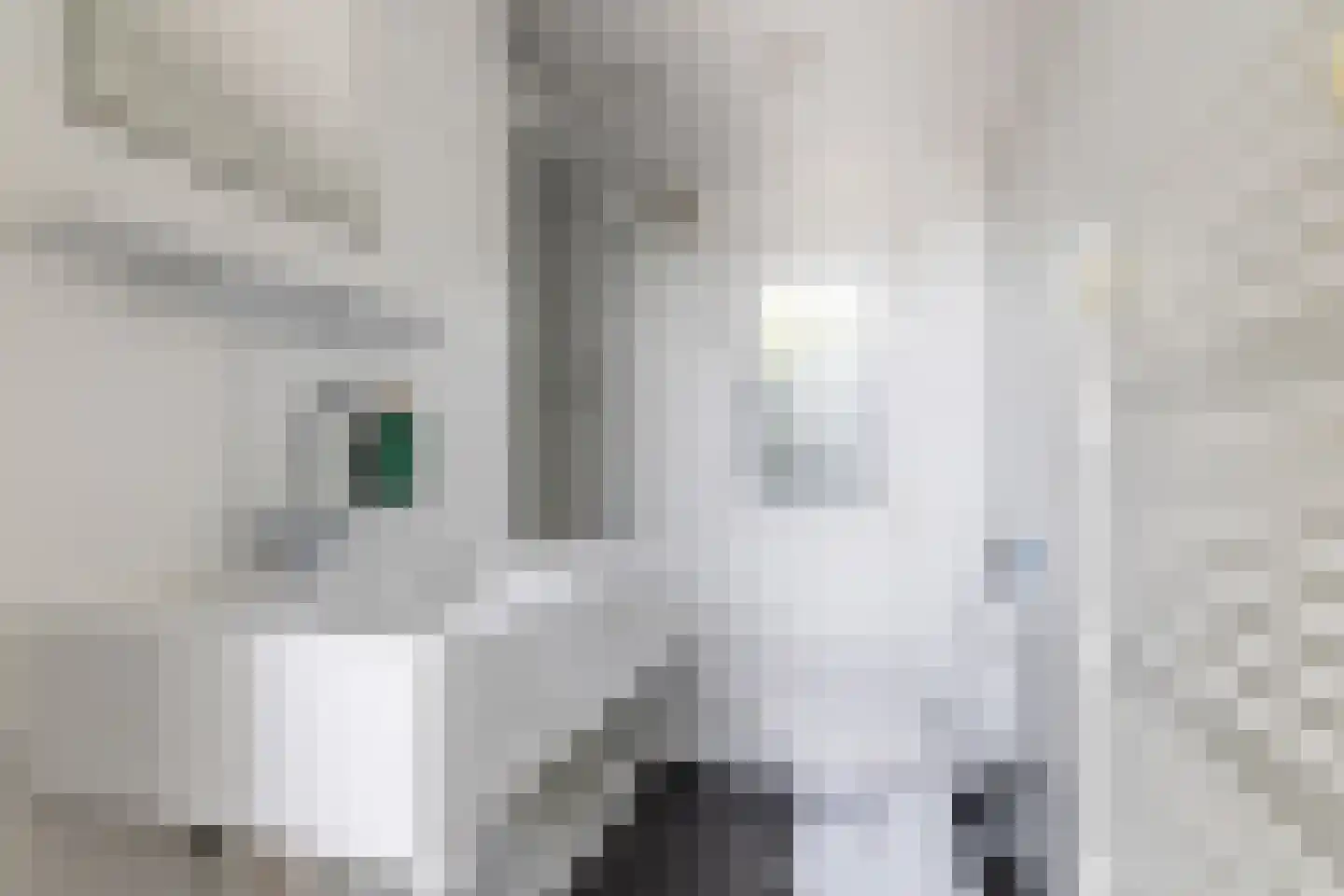 Loverensestraat 11 R D9 Cromvoirt thumbnail 14