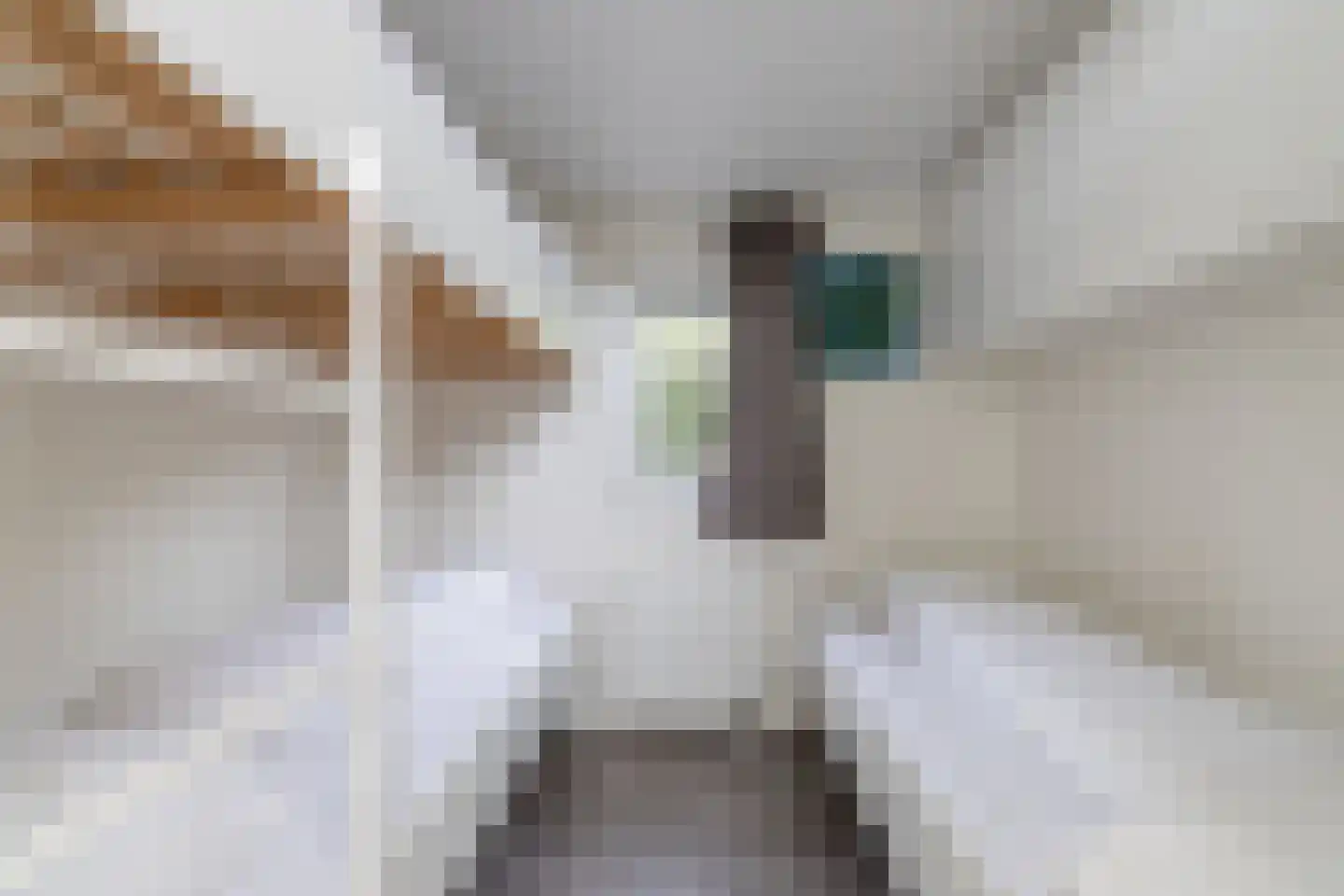 Loverensestraat 11 R D9 Cromvoirt thumbnail 15
